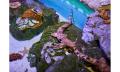 Cairns Aquarium by Sunrise Thumbnail 5