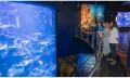 Cairns Aquarium by Sunrise Thumbnail 6