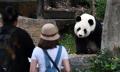 Adelaide Zoo Entry Tickets Thumbnail 1