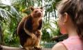 Adelaide Zoo Entry Tickets Thumbnail 2