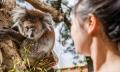 Adelaide Zoo Entry Tickets Thumbnail 3