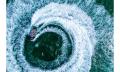 Arro Jet Boat Experience Thumbnail 4