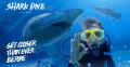 Shark Dive Xtreme at SEA LIFE Sunshine Coast Thumbnail 5