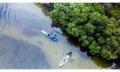 Everglades &amp; Stingrays Thumbnail 3