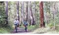 Explore Tewantin National Park - eMountain Bike Tour Thumbnail 2