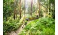 Explore Tewantin National Park - eMountain Bike Tour Thumbnail 3