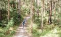 Explore Tewantin National Park - eMountain Bike Tour Thumbnail 4