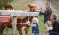 Cruise and Walter Peak High Country Farm Tour Thumbnail 1