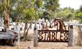 Behind the Scenes with the Clydesdales of the Victor Harbor Tramway Thumbnail 3