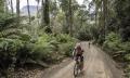 Tassie East Coast Gravel Tour Thumbnail 5