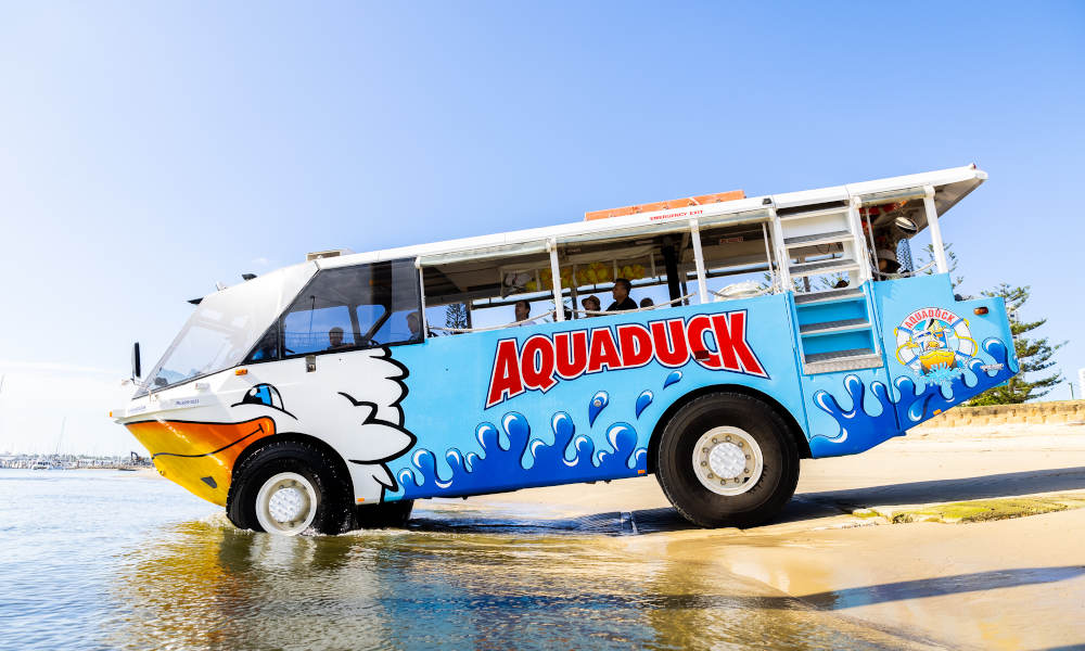 aquaduck