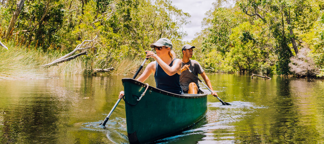 Everglades Explorer Gallery Banner 1