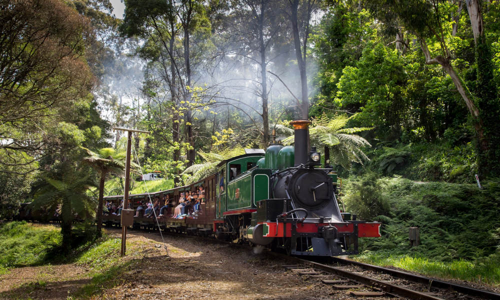 Puffing Billy Half Day Tour