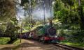 Puffing Billy Half Day Tour Thumbnail 1