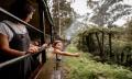 Puffing Billy Half Day Tour Thumbnail 2