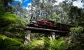 Puffing Billy Half Day Tour Thumbnail 4
