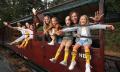 Puffing Billy Half Day Tour Thumbnail 6
