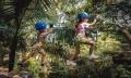 TreeTop Adventure Park Central Coast - Junior Ropes Course Thumbnail 3