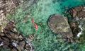 Bremer Island Escape Thumbnail 5