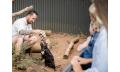 A Devilish Native Experience Thumbnail 2