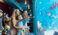 Village Roadshow Escape Pass Thumbnail 4