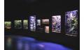 Night at the Aquarium Tour Thumbnail 4