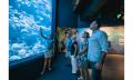 Night at the Aquarium Tour Thumbnail 5