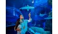 Night at the Aquarium Tour &amp; 2 Course Dinner Thumbnail 1