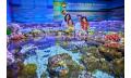 Night at the Aquarium Tour &amp; 2 Course Dinner Thumbnail 5