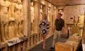 Tomb of the Pharaohs General Admission Thumbnail 2