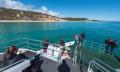 Hervey Bay Afternoon Whale Watching Cruise Thumbnail 1