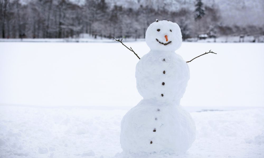 Lake Mountain Snow Tour Gallery Banner 4