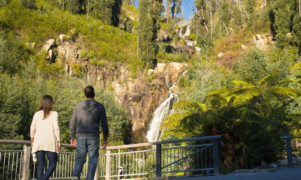 Lake Mountain Snow Tour Gallery Banner 6