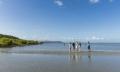 Daintree Dreaming Thumbnail 1