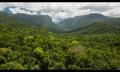 Daintree Dreaming Thumbnail 3