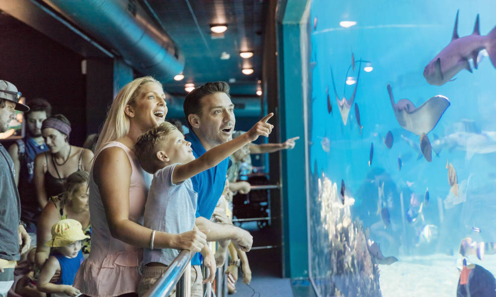 Single Day Multi Park Ticket Gallery Banner 6