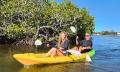 Noosa Heads Tour: Hidden Waterways &amp; Wildlife Tour (Self Guided) Thumbnail 1