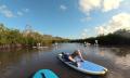 Noosa Stand Up Paddle &amp; Mangrove Tunnel Tour (Fully Guided) Thumbnail 2