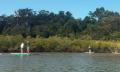 Noosa Stand Up Paddle &amp; Mangrove Tunnel Tour (Fully Guided) Thumbnail 3
