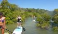 Noosa Stand Up Paddle &amp; Mangrove Tunnel Tour (Fully Guided) Thumbnail 4