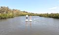 Noosa Stand Up Paddle &amp; Mangrove Tunnel Tour (Self Guided) Thumbnail 4