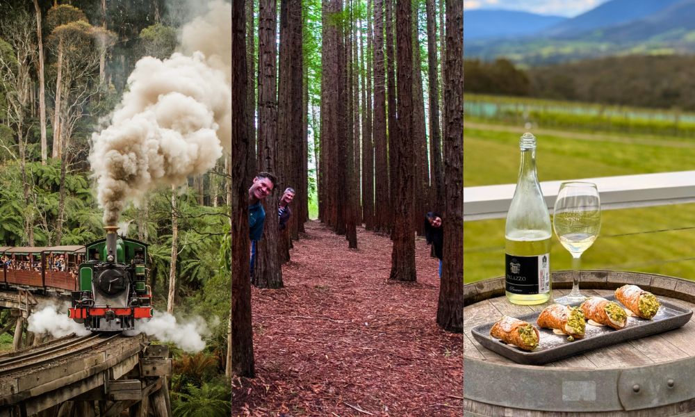 Puffing Billy, Forest Trails & Yarra Valley Discovery Tour