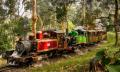 Puffing Billy, Forest Trails &amp; Yarra Valley Discovery Tour Thumbnail 2