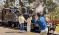 Puffing Billy, Forest Trails &amp; Yarra Valley Discovery Tour Thumbnail 3