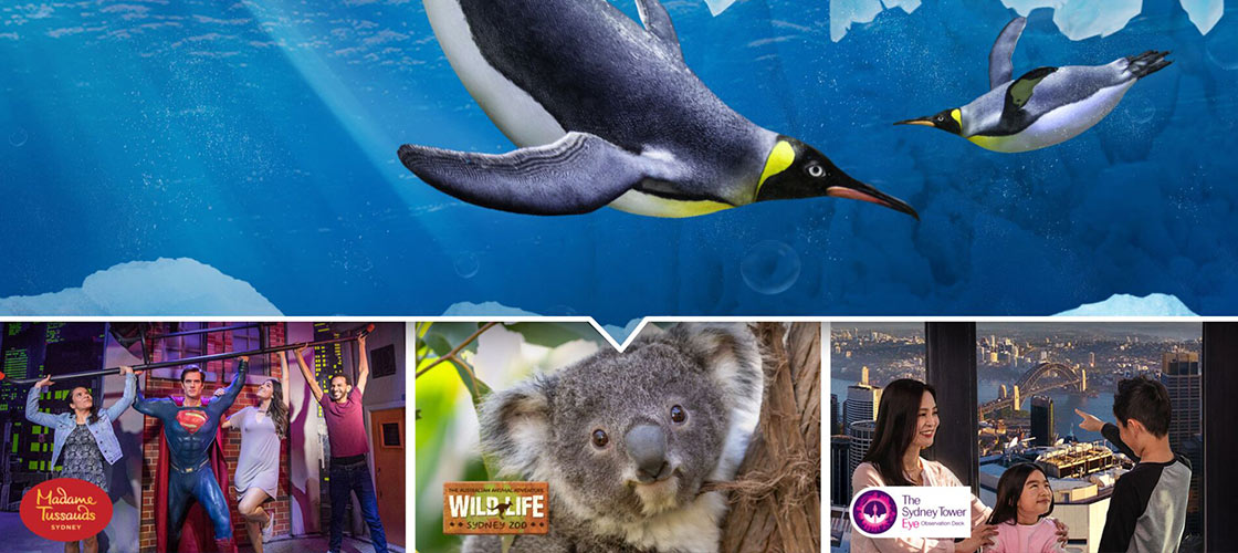 Sydney Attractions Pass - 2 Attractions - Kids Half Price