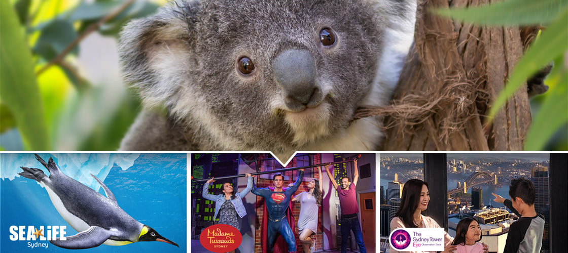 Sydney Attractions Pass - 3 Attractions - Kids Half Price