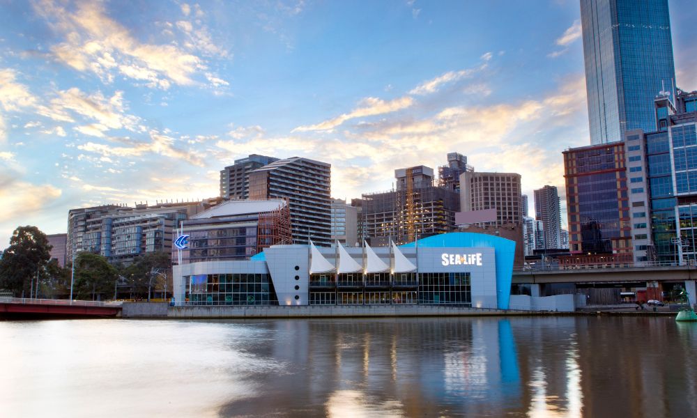SEA LIFE Melbourne Aquarium Entry - Kids Half Price