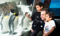 SEA LIFE Melbourne Aquarium Entry - Kids Half Price Thumbnail 4