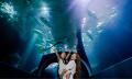 SEA LIFE Melbourne Aquarium Entry - Kids Half Price Thumbnail 5