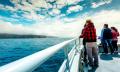 Bruny Island Wilderness Cruise from Adventure Bay Thumbnail 4